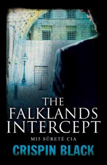 The Falklands Intercept