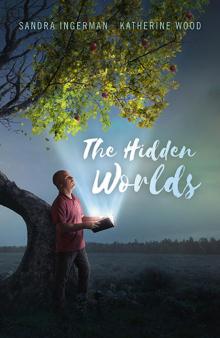 The Hidden Worlds Read online
