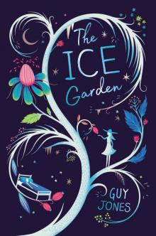 The Ice Garden