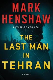 The Last Man in Tehran Read online