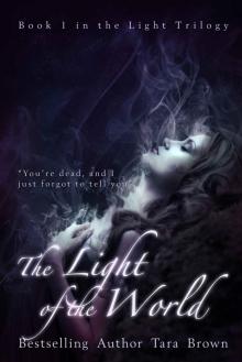 The Light of the World (The Light Series Book 1) Read online