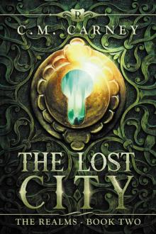 The Lost City: The Realms Book Two (An Epic LitRPG Adventure) Read online