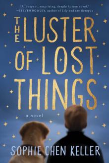The Luster of Lost Things Read online