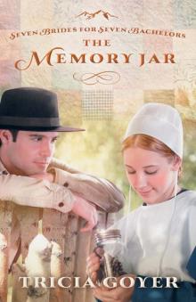 The Memory Jar Read online