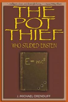 The Pot Thief Who Studied Einstein Read online