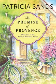 The Promise of Provence (Love in Provence Book 1) Read online