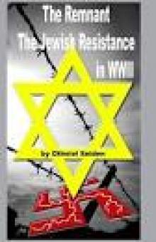 The Remnant - Stories of the Jewish Resistance in WWII (Boomer Book Series)