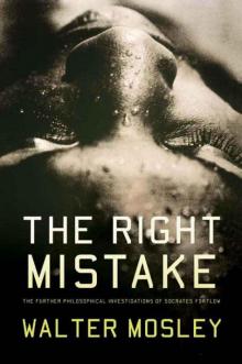 The Right Mistake Read online