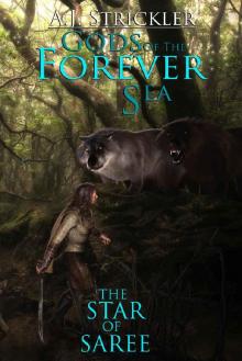 The Star Of Saree (GODS OF THE FOREVER SEA Book 3) Read online