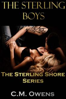 The Sterling Boys (The Sterling Shore Series #3) Read online