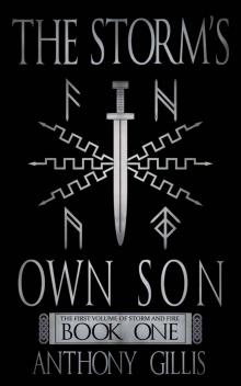 The Storm's Own Son (Book 1) Read online