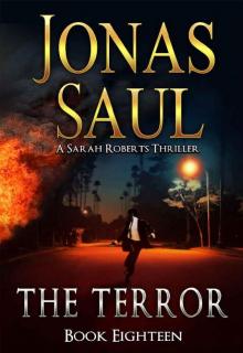 The Terror (A Sarah Roberts Thriller Book 18) Read online