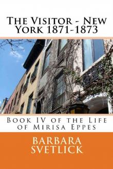 The Visitor - New York 1871-1873 Read online