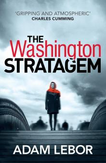 The Washington Stratagem Read online