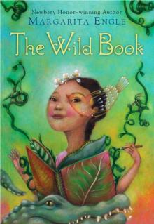 The Wild Book Read online