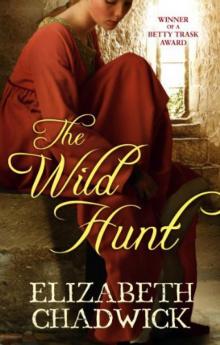 The Wild Hunt tor-1 Read online