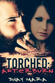 Torched: Afterburn (Iron Serpents Motorcycle Club Book 2) Read online