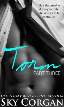 Torn: Part Three (An Alpha Billionaire Romance) (The Torn Series Book 3) Read online