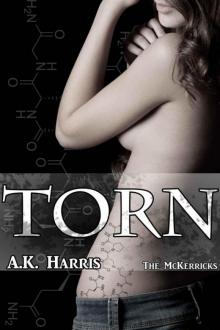 Torn (The McKerricks Book 1)