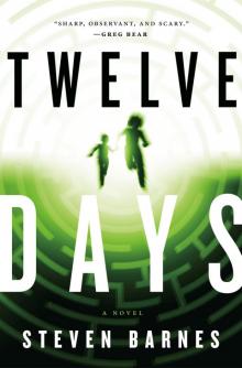 Twelve Days Read online
