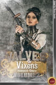 Valves & Vixens, Volume 2