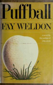 Weldon, Fay - Novel 07 Read online