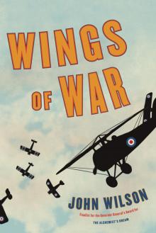 Wings of War Read online