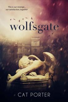 Wolfsgate Read online