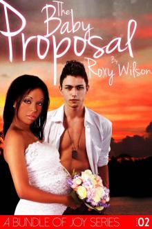 A Bundle of Joy 2: The Baby Proposal (BWWM Interracial Romance) Read online