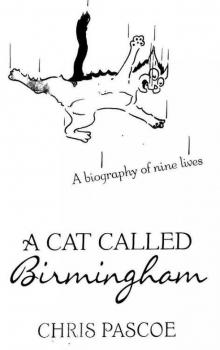 A Cat Called Birmingham Read online
