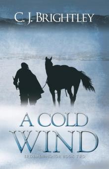 A Cold Wind Read online