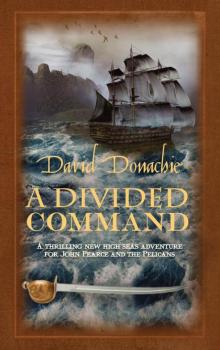 A Divided Command Read online