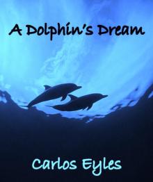 A Dolphins Dream Read online