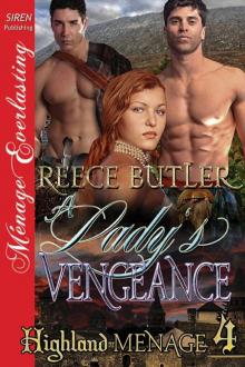 A Lady's Vengeance Read online