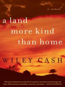 A Land More Kind Than Home Read online