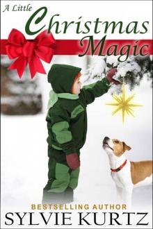 A Little Christmas Magic Read online