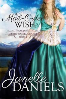 A Mail-Order Wish (Miners to Millionaires Book 2) Read online