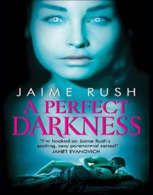 A Perfect Darkness Read online