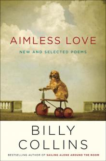 Aimless Love Read online