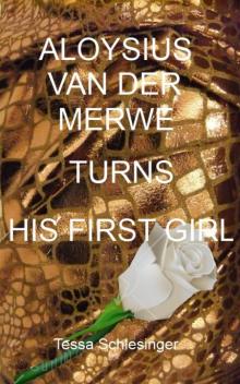 Aloysius van der Merwe Turns his First Girl Read online