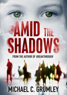 Amid the Shadows Read online
