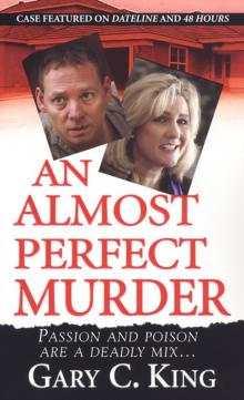 An Almost Perfect Murder Read online