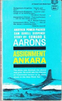 Assignment - Ankara Read online