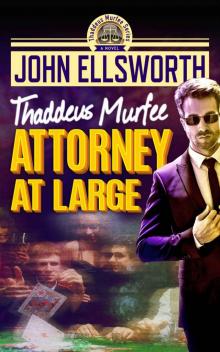 Attorney at Large (Thaddeus Murfee Legal Thriller Series Book 3) Read online