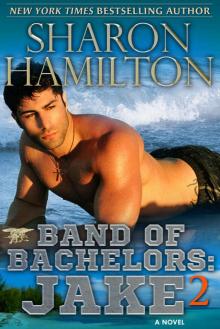 Band of Bachelors: Jake2: Book 4 (SEAL Brotherhood) Read online