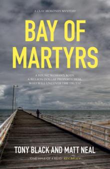 Bay of Martyrs Read online
