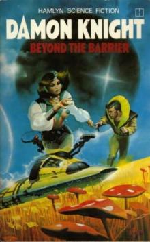 Beyond the Barrier Read online