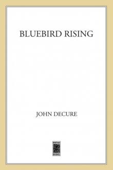 Bluebird Rising Read online