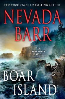 Boar Island Read online