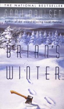 Brian's Winter br-3 Read online